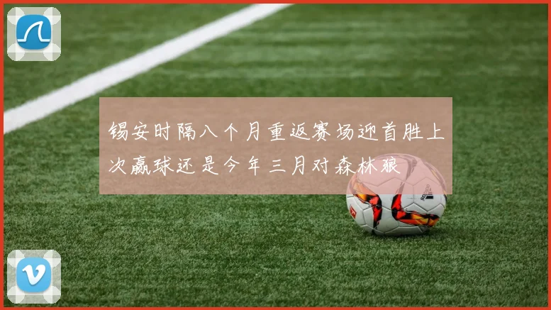 锡安时隔八个月重返赛场迎首胜上次赢球还是今年三月对森林狼