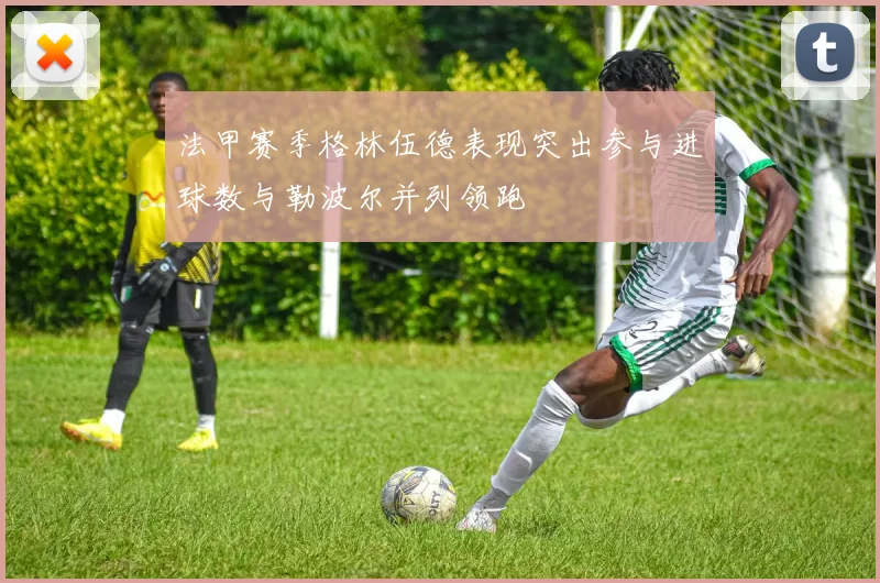 法甲赛季格林伍德表现突出参与进球数与勒波尔并列领跑